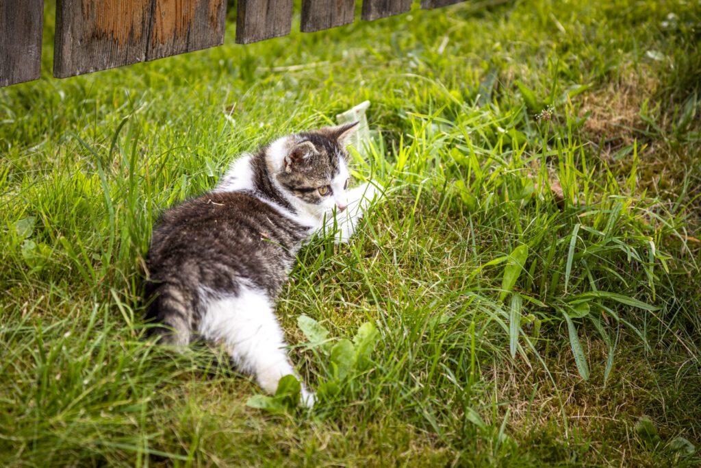 20240715_WandlehenhofAussen_057_klein