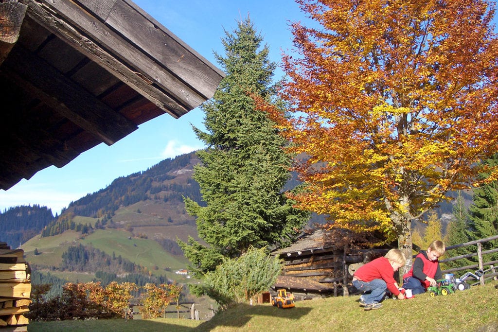 Hofeigene Alm - Wandlehenhof im Großarltal