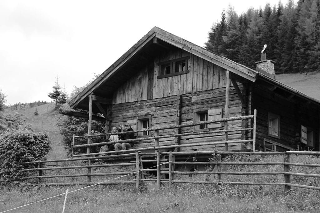 Hofeigene Alm - Wandlehenhof im Großarltal