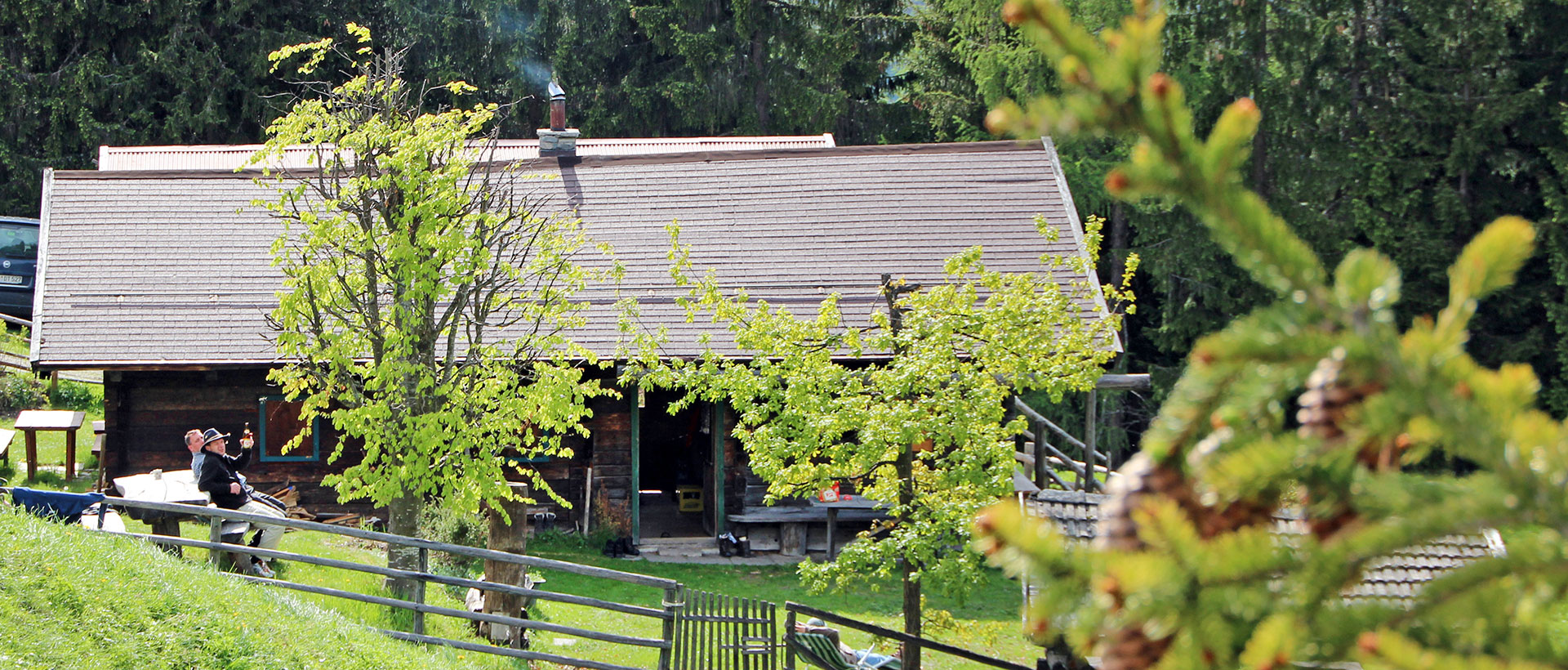 Hofeigene Alm - Wandlehenhof im Großarltal