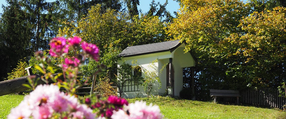 Urlaub am Bauernhof im Großarltal, Salzburger Land